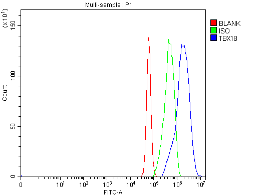 a06044 2 tbx18 primary antibodies fcm testing 10
