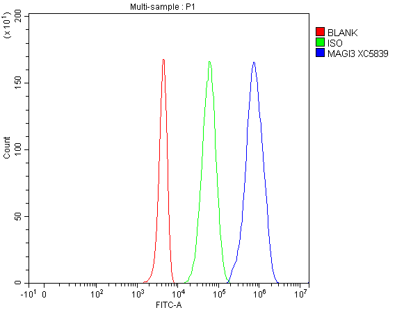 Flow Cytometry analysis of 293T cells using anti-MAGI3 antibody (A06048)