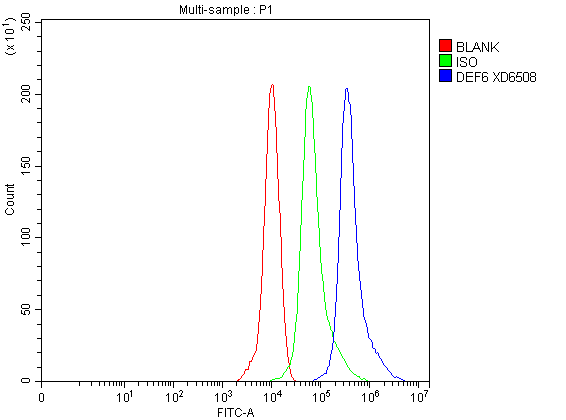 a06058 3 def6 primary antibodies fcm testing 1
