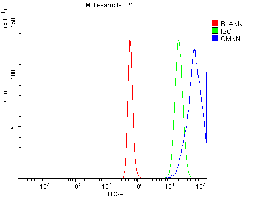 a06060 3 gmnn primary antibodies fcm testing 8_1