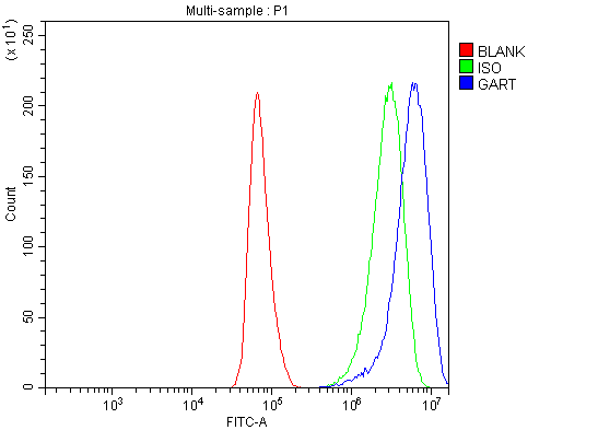  Flow Cytometry analysis of HELA cells using anti-GART antibody (A06061-2)