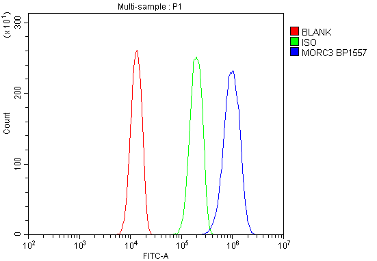 a06075 4 morc3 primary antibodies fc testing 5