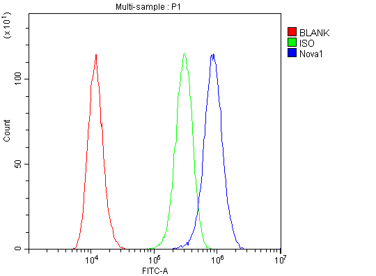 a06087 1 nova1 primary antibodies fcm testing 13