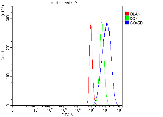 a06090 2 cox5b primary antibodies fcm testing 14