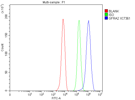 a06103 2 gfra2 primary antibodies fcm testing 1