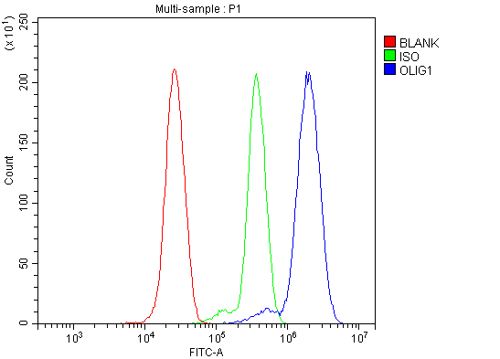 a06108 3 olig1 primary antibodies fcm testing 2