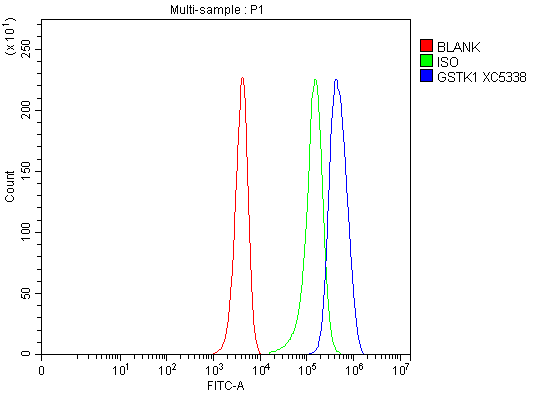 Flow Cytometry analysis of HEPA1-6 cells using anti-GSTK1 antibody (A06112-2)