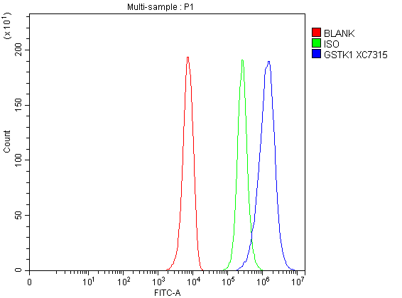 a06112 3 gstk1 primary antibodies fcm testing 1