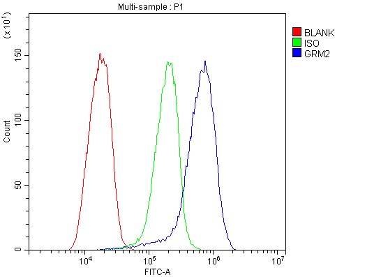 a06123 1 grm2 primary antibodies fc testing 3