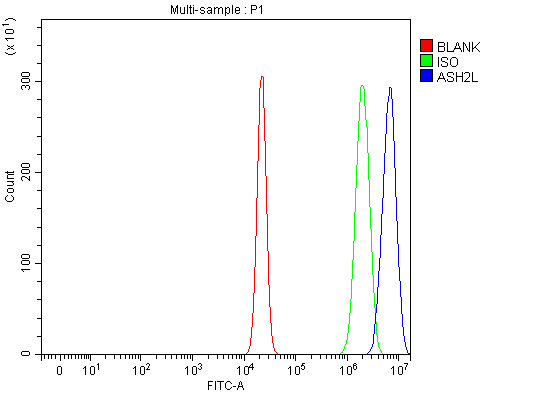 a06129 1 ash2l primary antibodies fcm testing 21