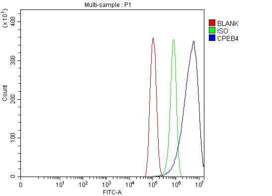 Flow Cytometry analysis of PC-3 cells using anti-CPEB4 antibody (A06139-2)