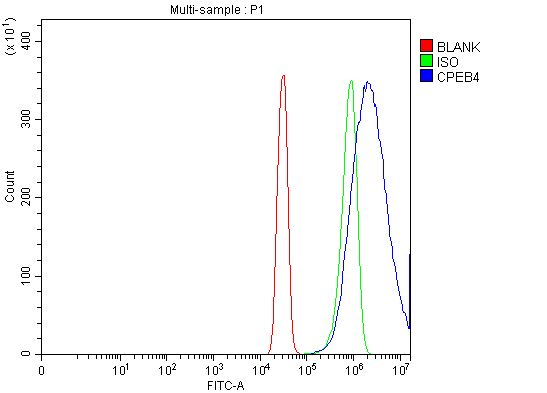  Flow Cytometry analysis of SiHa cells using anti-CPEB4 antibody (A06139-2)