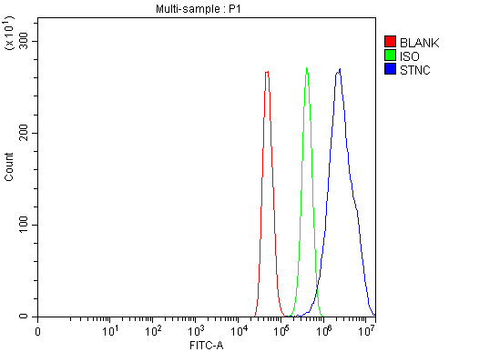  Flow Cytometry analysis of C2C12 cells using anti-Syncoilin/Sync antibody (A06159-2)