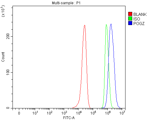  Flow Cytometry analysis of HepG2 cells using anti-POGZ antibody (A06169-3)