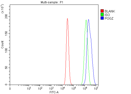 a06169 3 pogz primary antibodies fcm testing 4