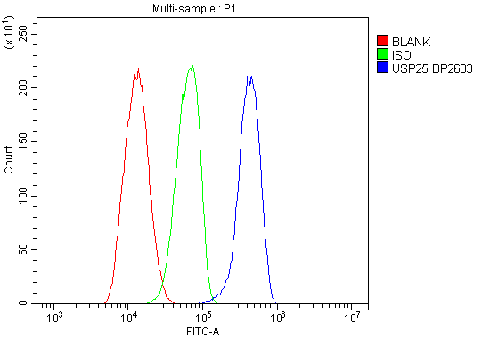 a06182 1 usp25 primary antibodies fc testing 3