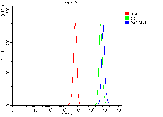 a06188 2 pacsin1 primary antibodies fcm testing 10