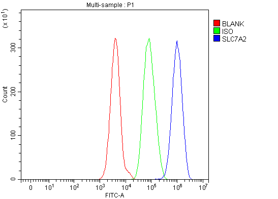 a06193 1 slc7a2 primary antibodies fcm testing 2