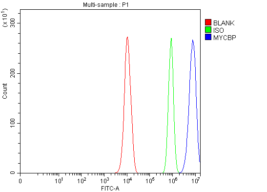 a06216 2 mycbp primary antibodies fcm testing 6