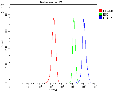 Flow Cytometry analysis of ANA-1 cells using anti-Ogfr antibody (A06220-1)