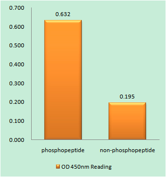 a06247s83 pkmyt1 primary antibodies elisa testing 1