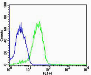 Flow cytometric analysis of MCF-7 cells using UIMC1 Antibody (C-term)(green, ) compared to an isotype control of rabbit IgG(blue)