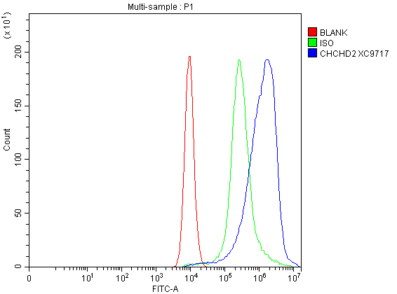 a06266 1 chchd2 primary antibodies fcm testing 1