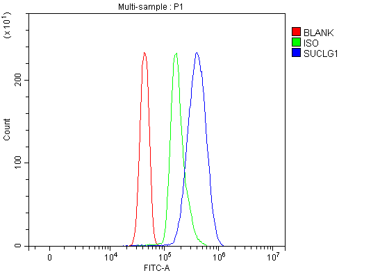 a06274 1 suclg1 primary antibodies fcm testing 8