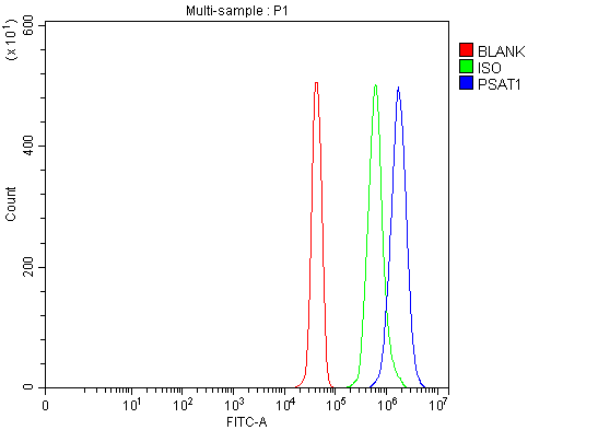  Flow Cytometry analysis of JK cells using anti-PSAT1 antibody (A06277)