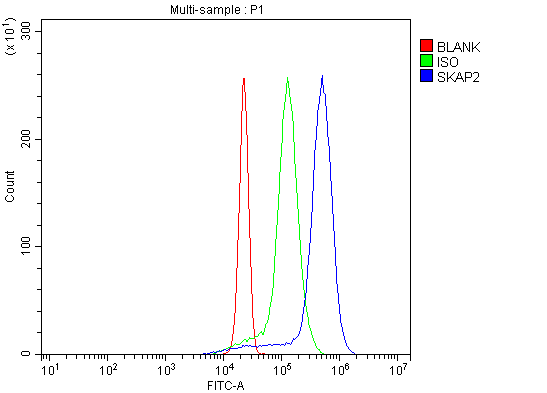  Flow Cytometry analysis of U937 cells using anti-SKAP2 antibody (A06280-2)