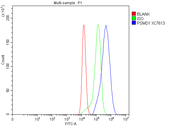 a06293 1 psmd1 primary antibodies fcm testing 1