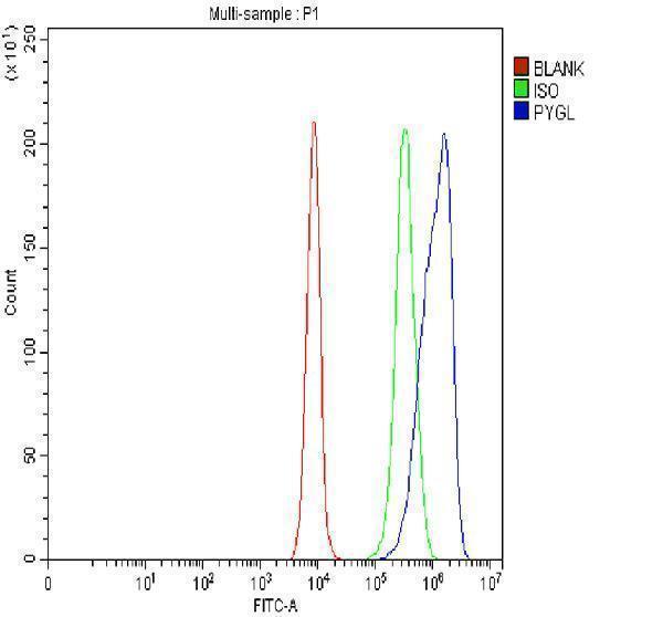 a06317 1 pygl primary antibodies fcm testing 4
