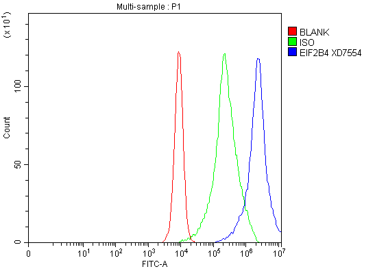 Flow Cytometry analysis of K562 cells using anti-EIF2B4 antibody (A06320-1)