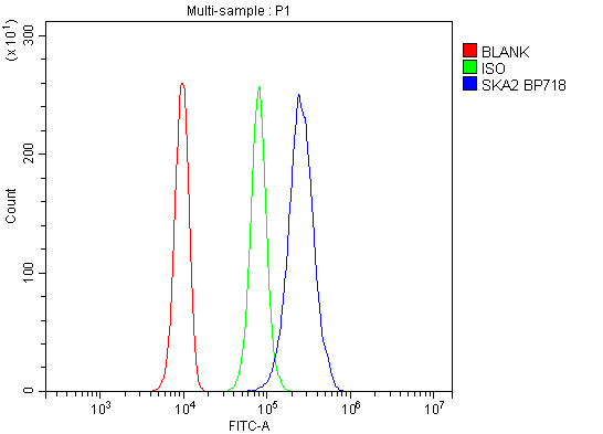 a06326 ska2 primary antibodies fc testing 2_1