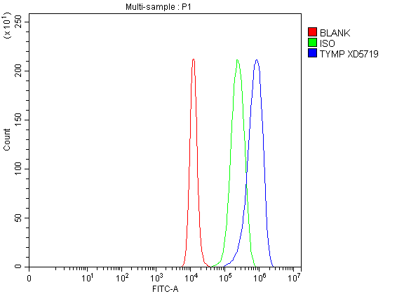 Flow Cytometry analysis of A431 cells using anti-PD-ECGF/TYMP antibody (A06329-1)