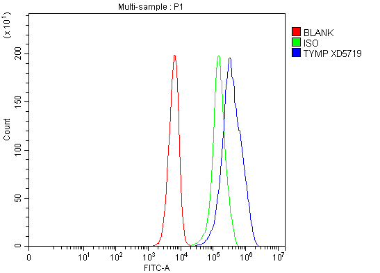 a06329 1 tymp primary antibodies fcm testing 2