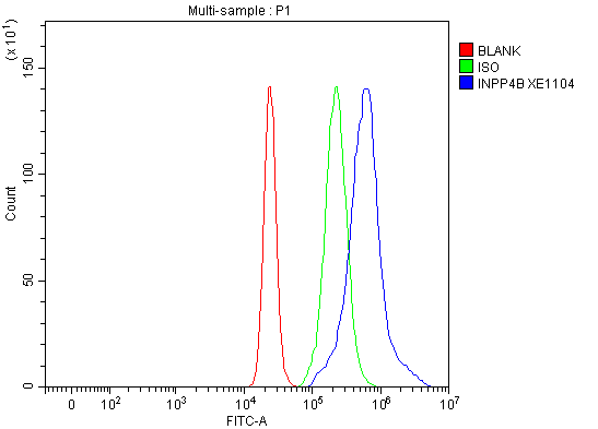 a06336 1 inpp4b primary antibodies fcm testing 1