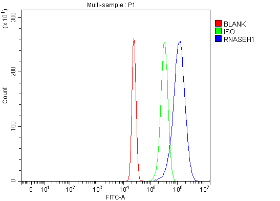  Flow Cytometry analysis of HepG2 cells using anti-RNASEH1 antibody (A06342-1)