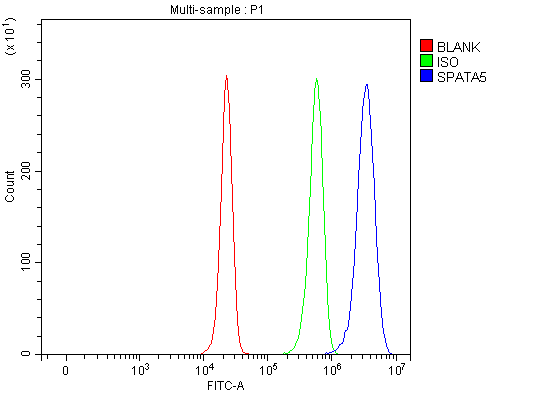  Flow Cytometry analysis of HepG2 cells using anti-SPATA5 antibody (A06364-1)