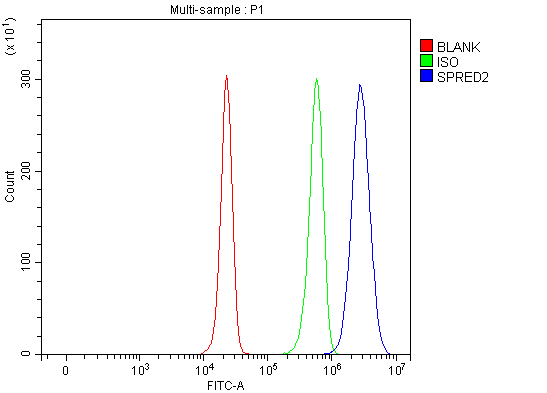 a06368 1 spred2 primary antibodies fcm testing 3