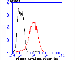 a06377 plxna1 primary antiboties fcm testing 2