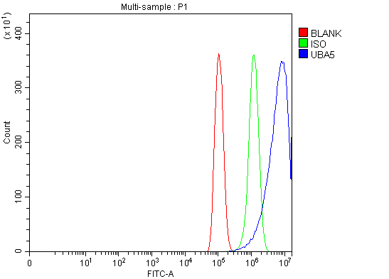 a06385 2 uba5 primary antibodies fcm testing 4