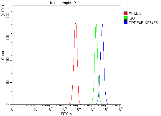 a06415 2 prp4k primary antibodies fcm testing 1