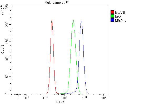 a06432 1 mgat2 primary antibodies fcm testing 4