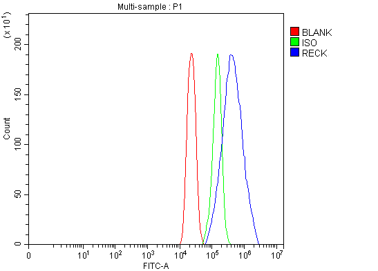  Flow Cytometry analysis of U251 cells using anti-RECK antibody (A06439-3)