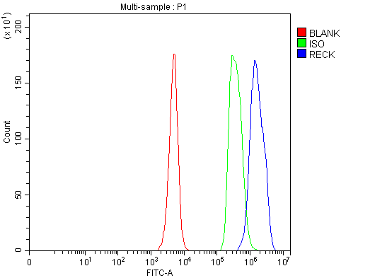  Flow Cytometry analysis of JK cells using anti-RECK antibody (A06439-4)