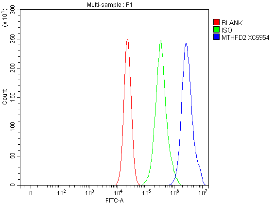 a06465 2 mthfd2 primary antibodies fcm testing 1