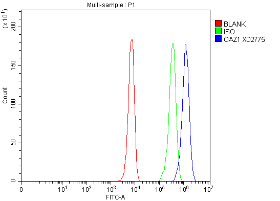 a06486 4 oaz1 primary antibodies fcm testing 1