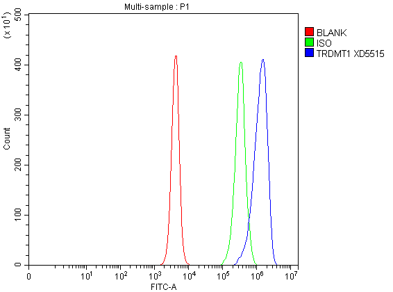 Flow Cytometry analysis of RM-1 cells using anti-DNMT2/TRDMT1 antibody (A06504-1)