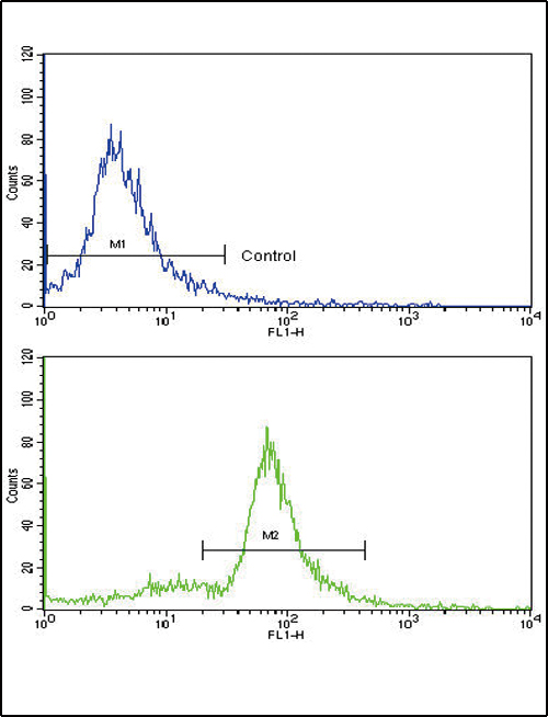 a06515 1 anti mccc2 antibody center fc testing 3